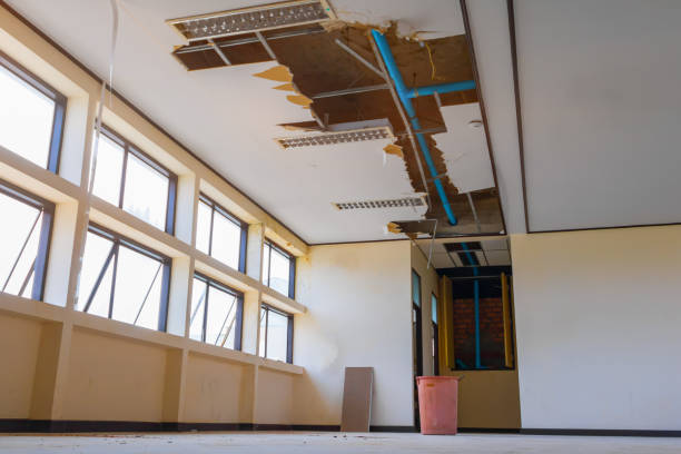  Meadow Lake, NM Water damage restoration Pros