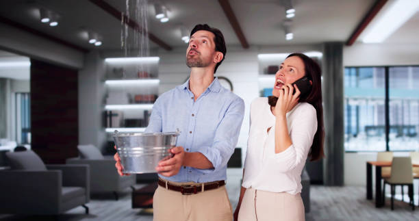 Best Basement water damage restoration  in Meadow Lake, NM