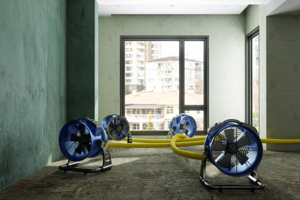 Best Water damage restoration near me  in Meadow Lake, NM